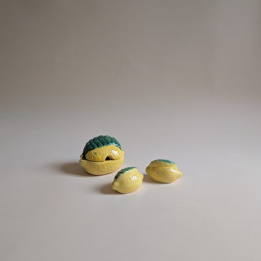 SET BARBOTINE CITRON