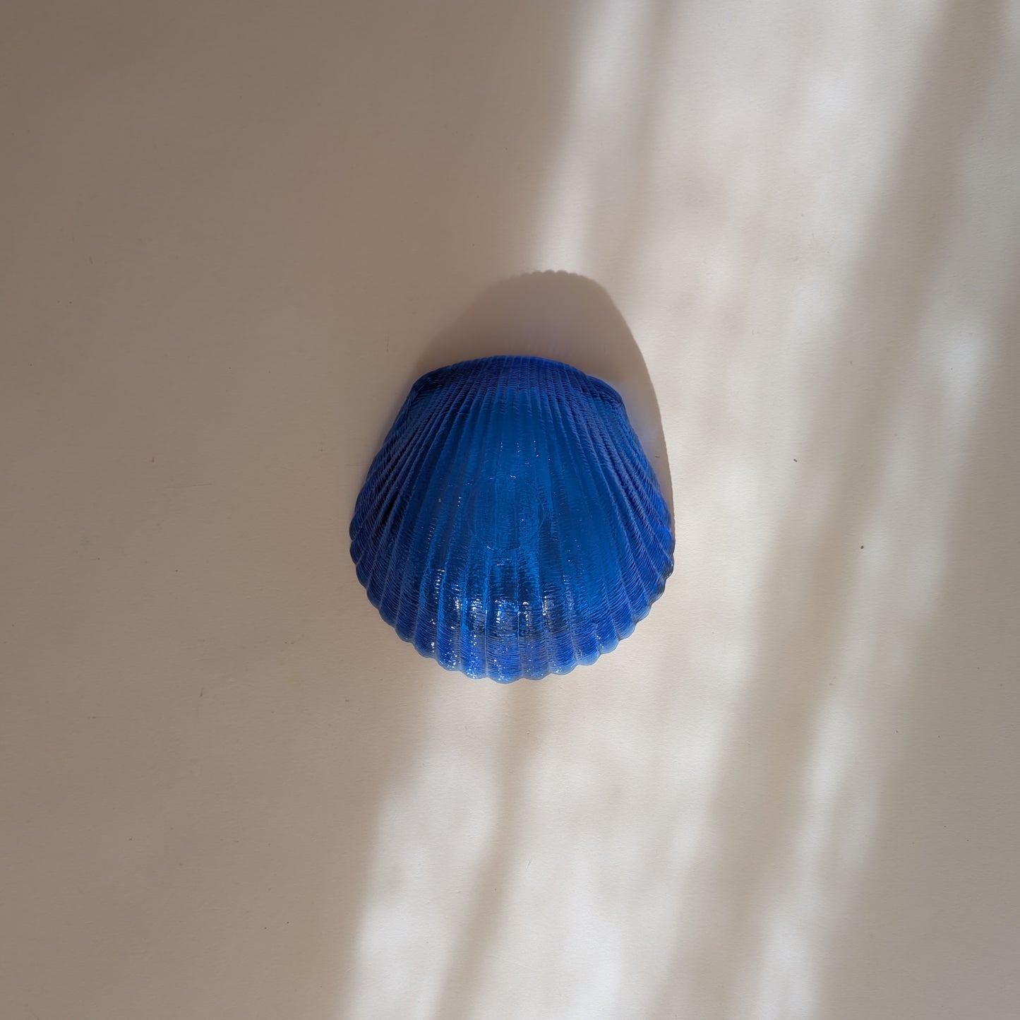 Coupelle coquillage bleue