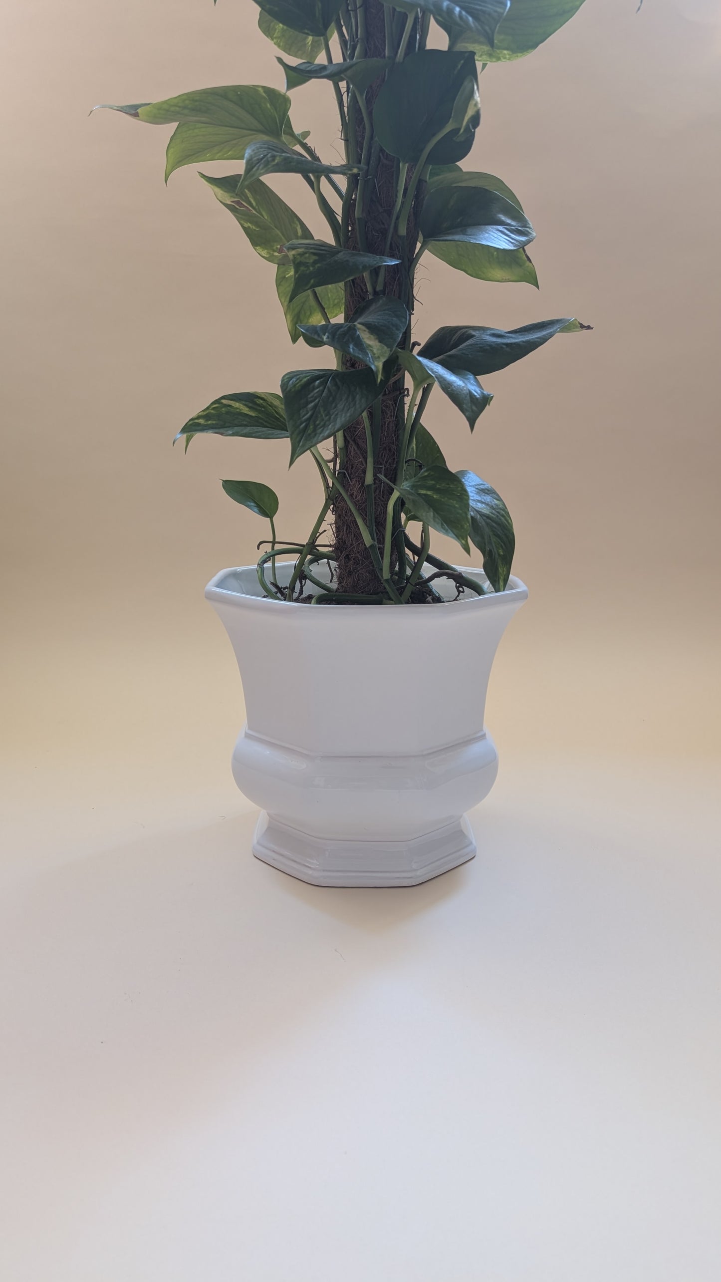 Cache-pot en céramique blanche