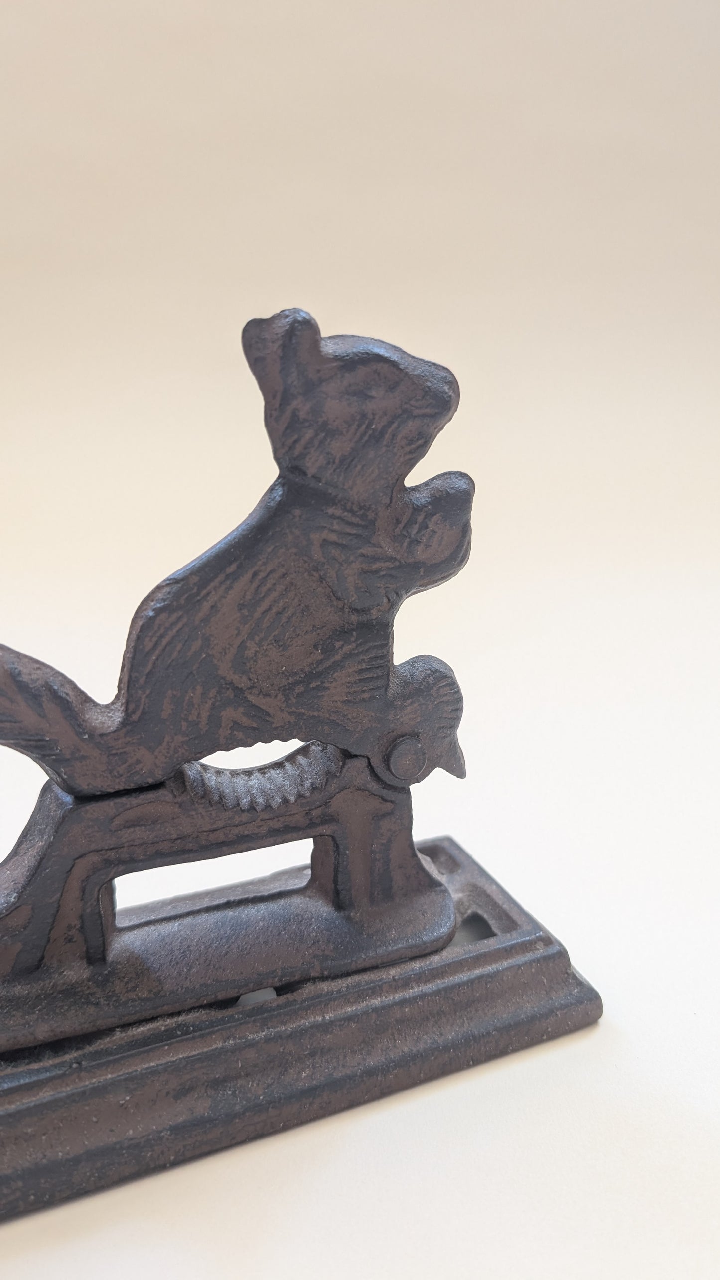 Casse-noix écureuil