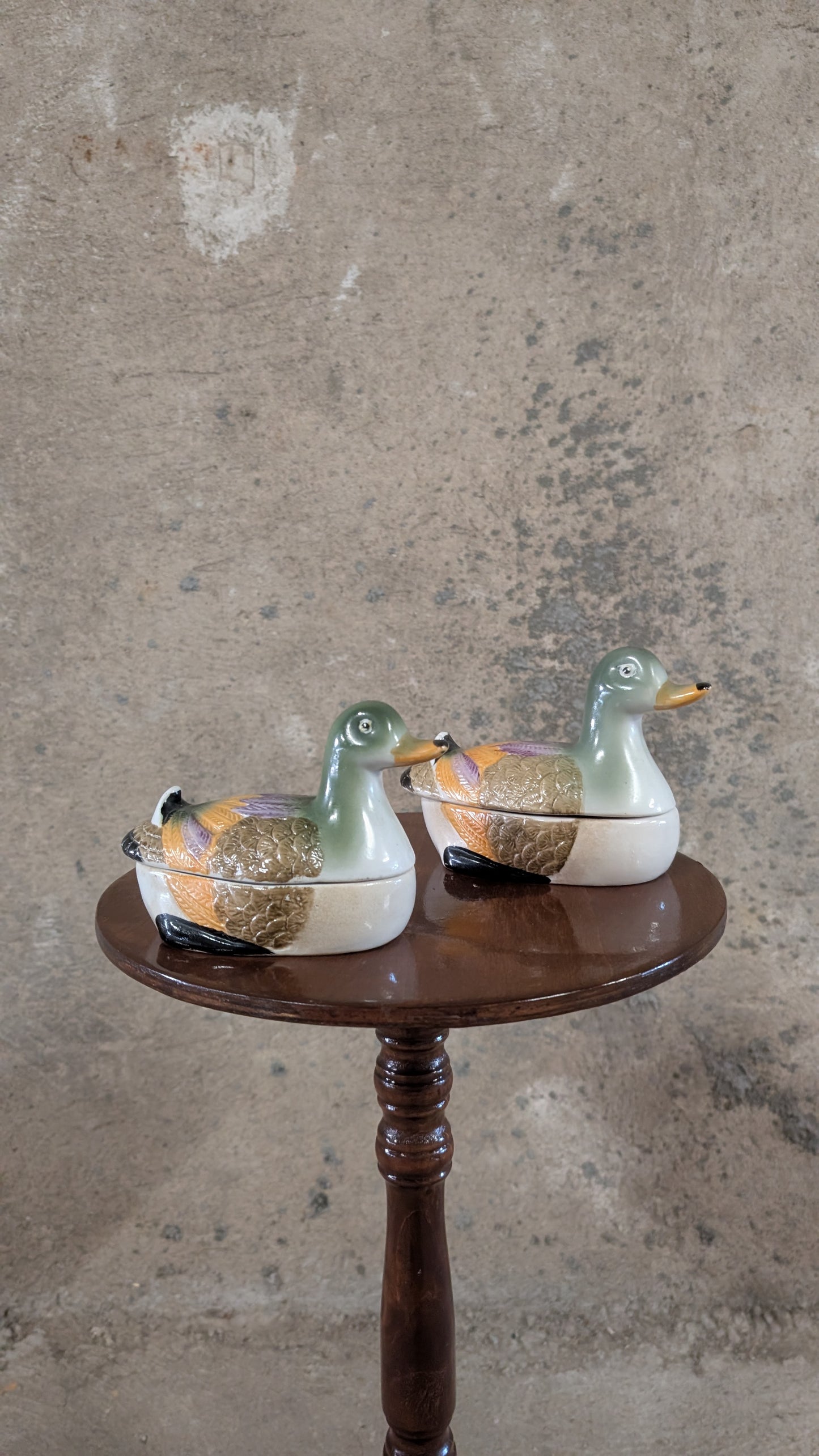 Duo de canards en céramique