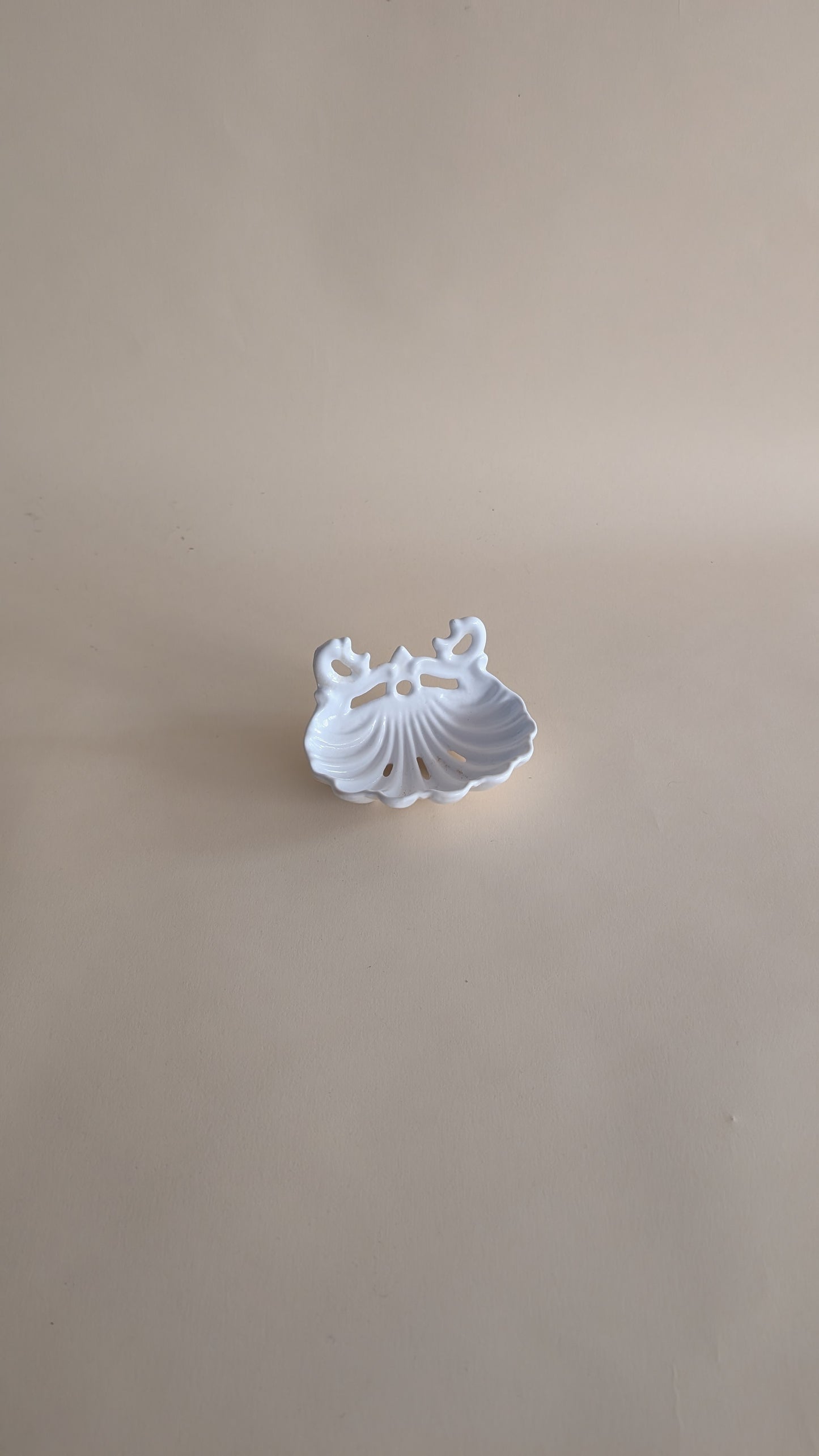 Porte-savon mural en forme de coquillage