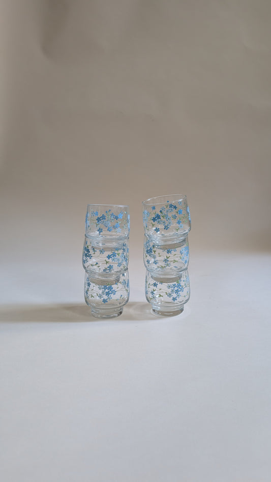6 VERRES MYOSOTIS