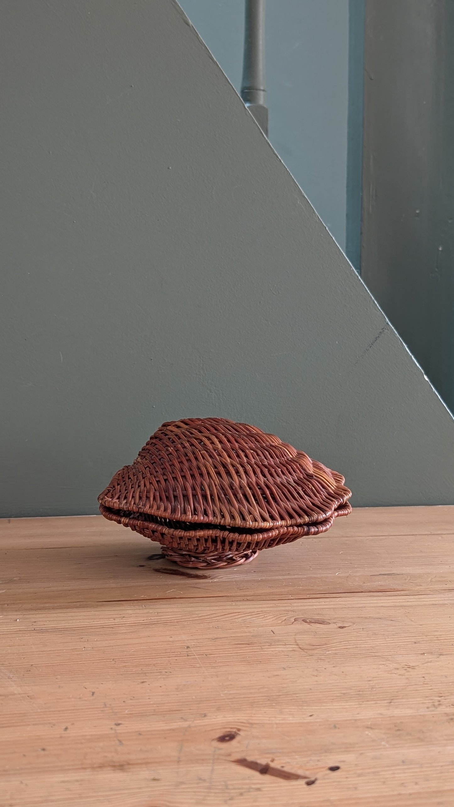 Boîte coquillage vintage en osier tressé