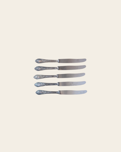 Ensemble de 5 couteaux