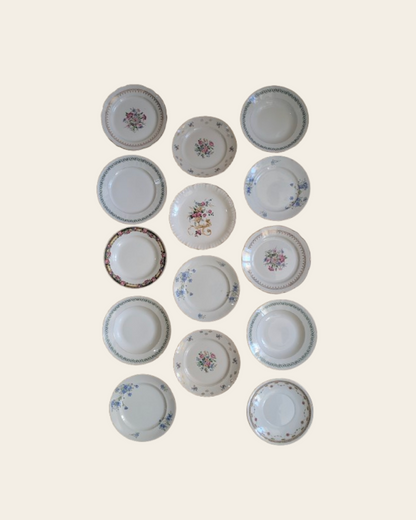 Ensemble de 14 assiettes dépareillées