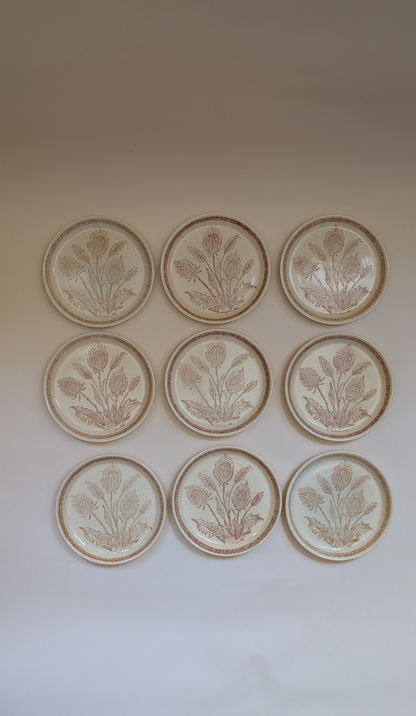 Assiettes en grès beige