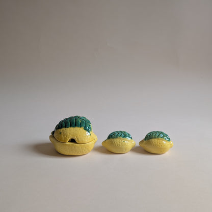 Set barbotine citron, saucière, poivrier et salière