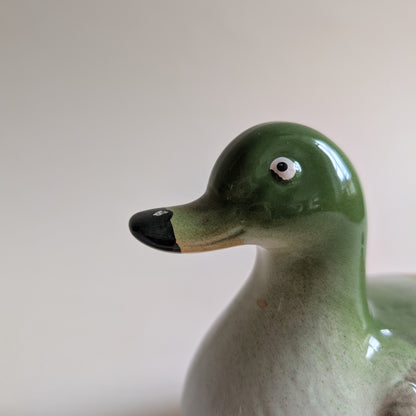 Boîte canard