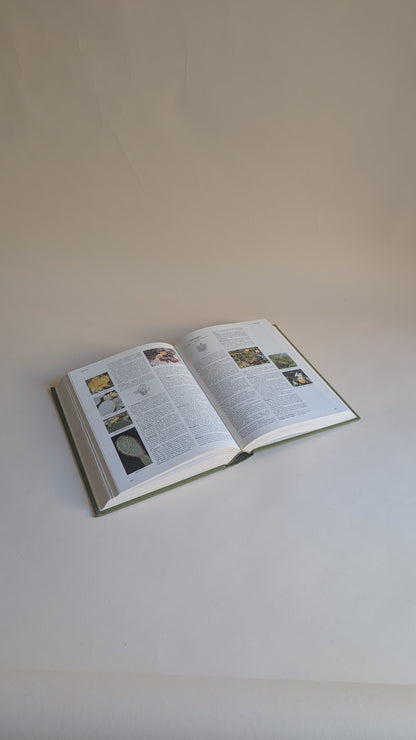 Encyclopédie des fleurs et plantes de jardin – Reader's Digest