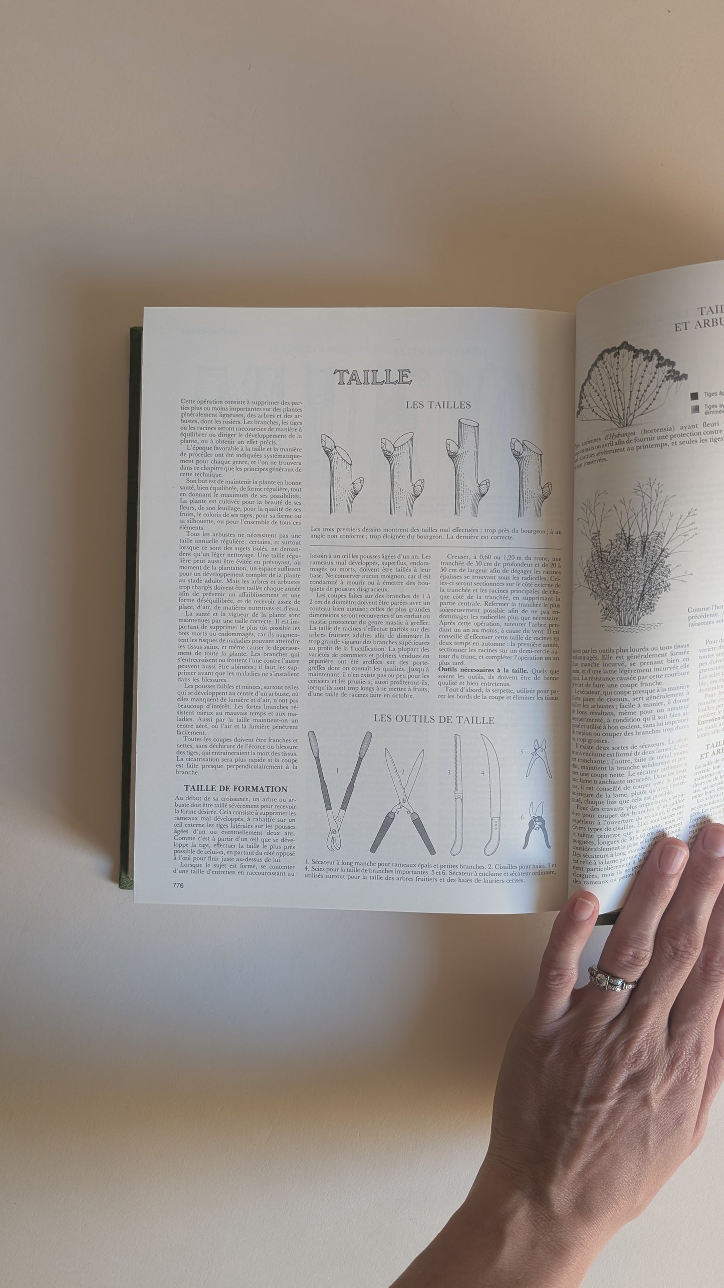 Encyclopédie des fleurs et plantes de jardin – Reader's Digest