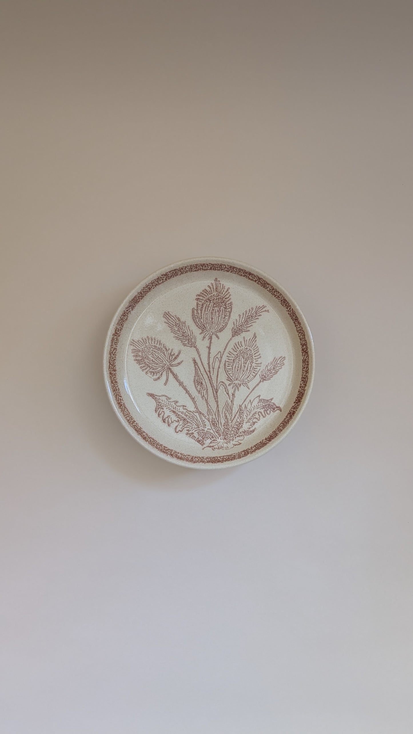 Assiettes en grès beige