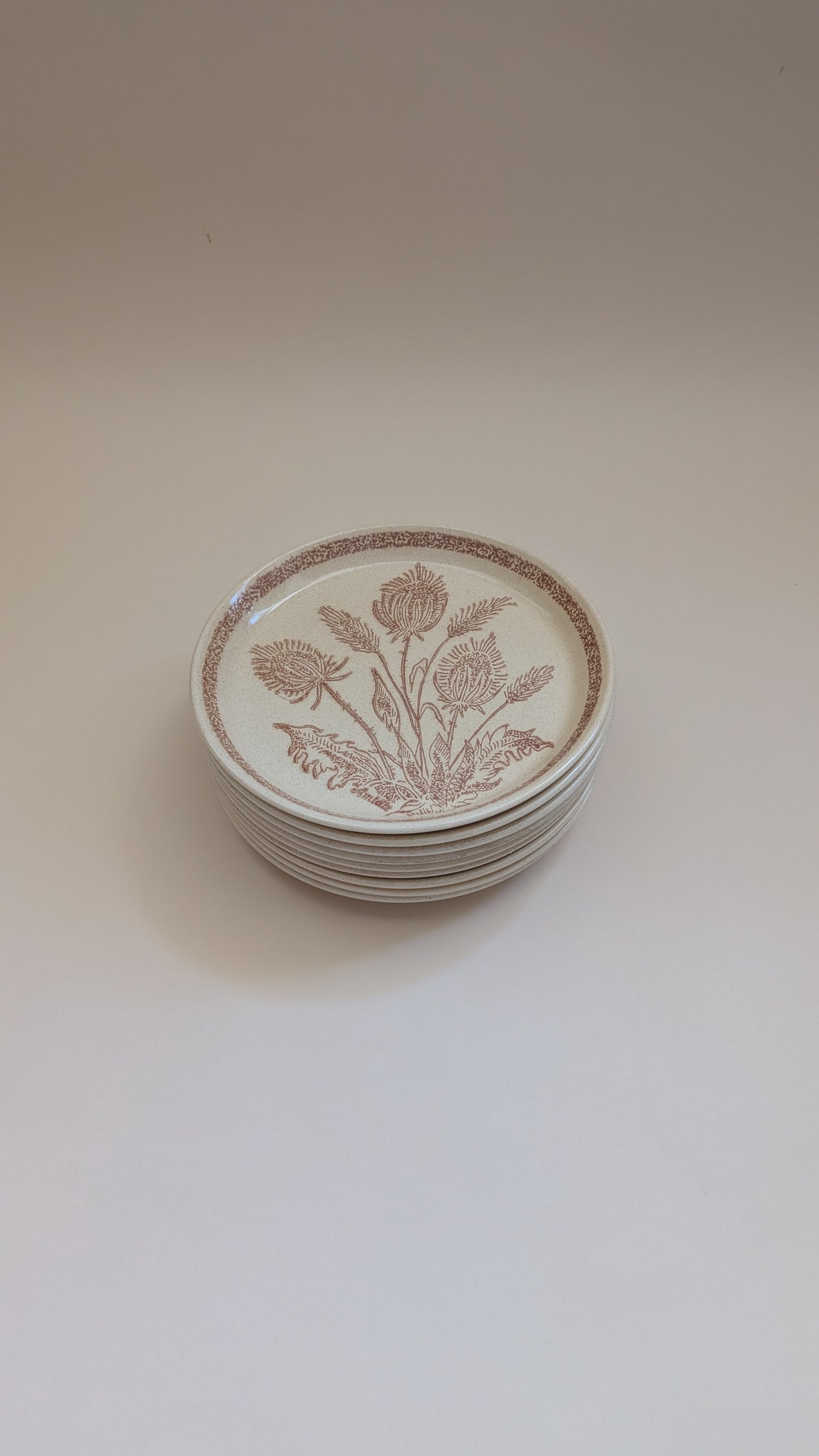 Assiettes en grès beige