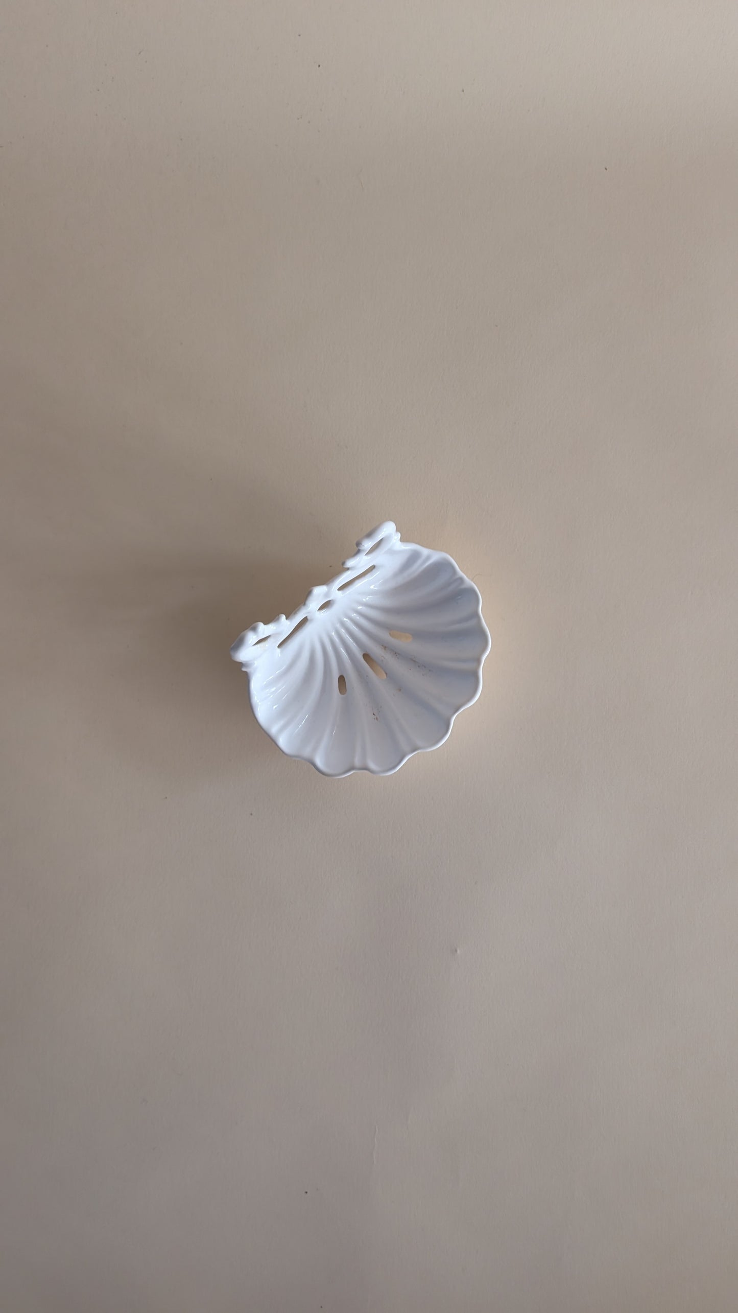 Porte-savon mural en forme de coquillage