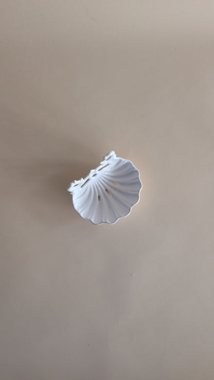 Porte-savon mural en forme de coquillage