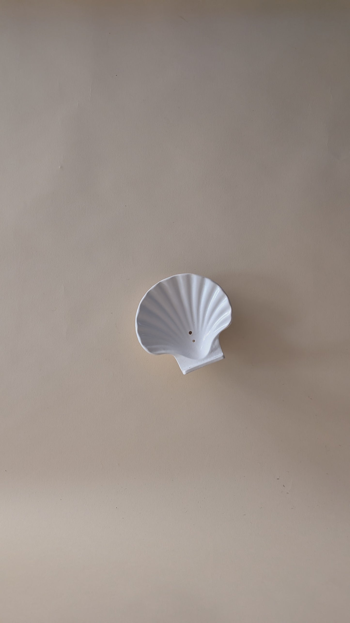 Porte-savon mural en forme de coquillage