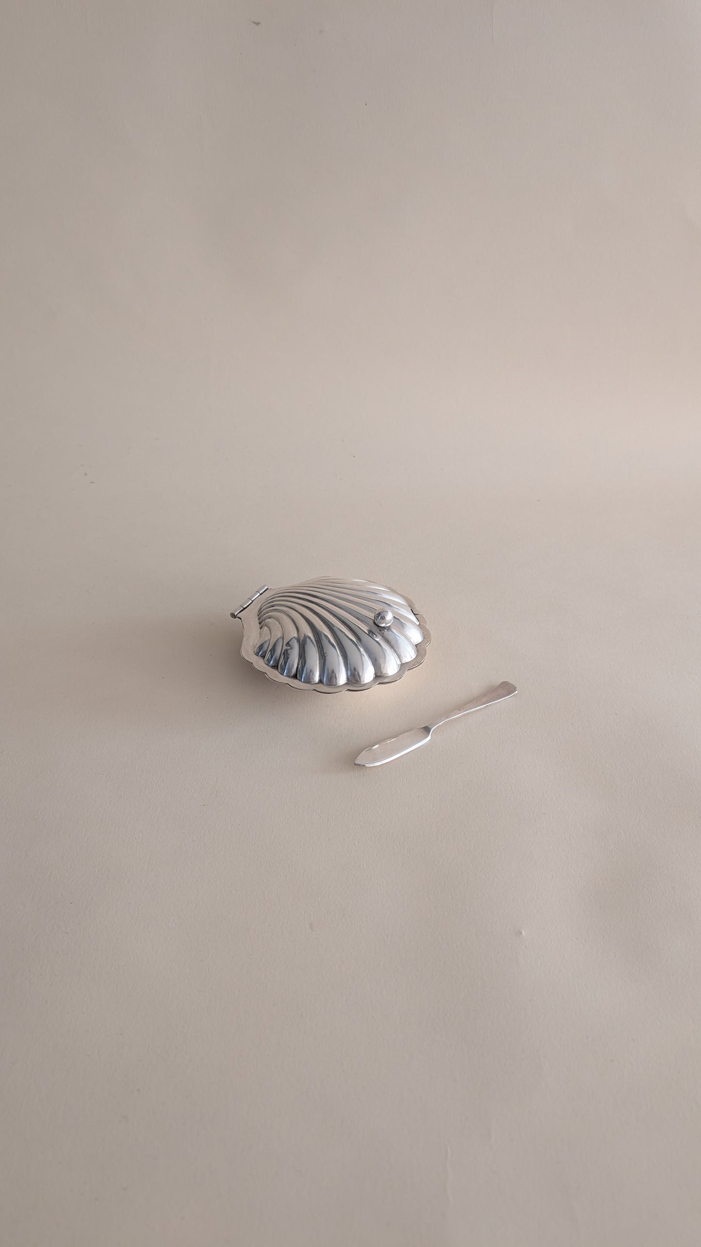 Beurrier en métal argenté avec son couteau