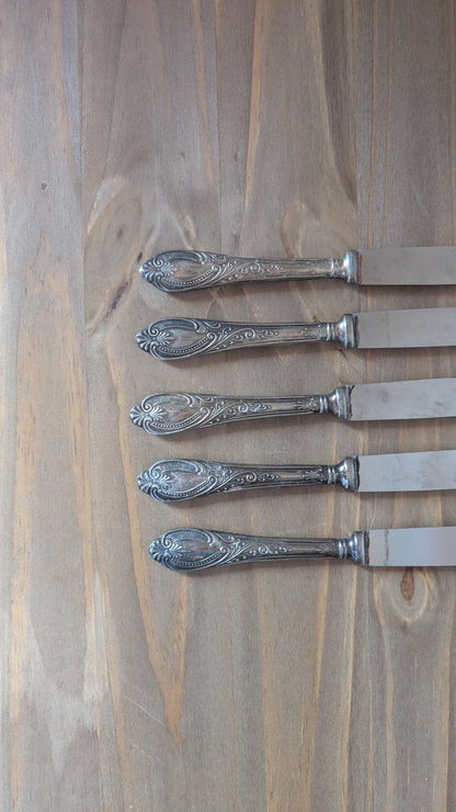 Ensemble de 5 couteaux