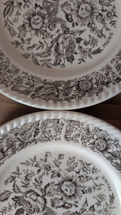 Ensemble de 4 assiettes, Prairie