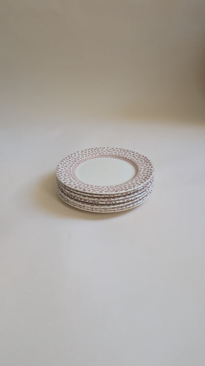 Ensemble de 7 assiettes