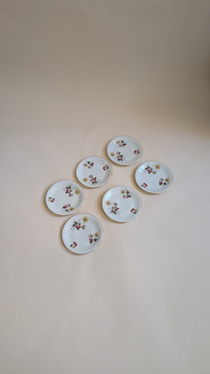 Ensemble de 6 assiettes à dessert