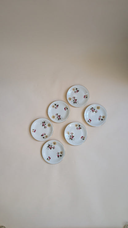 Ensemble de 6 assiettes à dessert