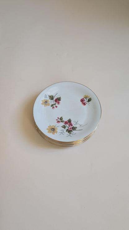 Ensemble de 6 assiettes à dessert