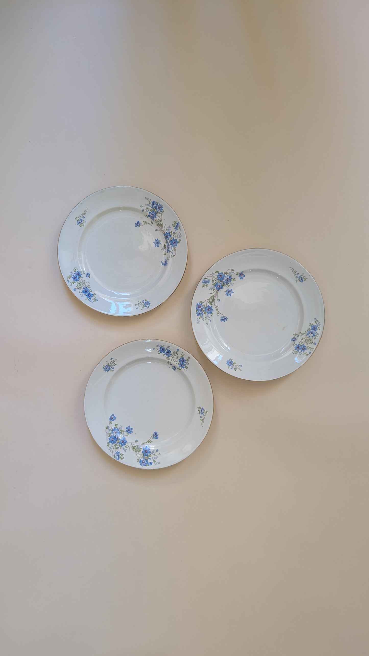 Ensemble de 14 assiettes dépareillées