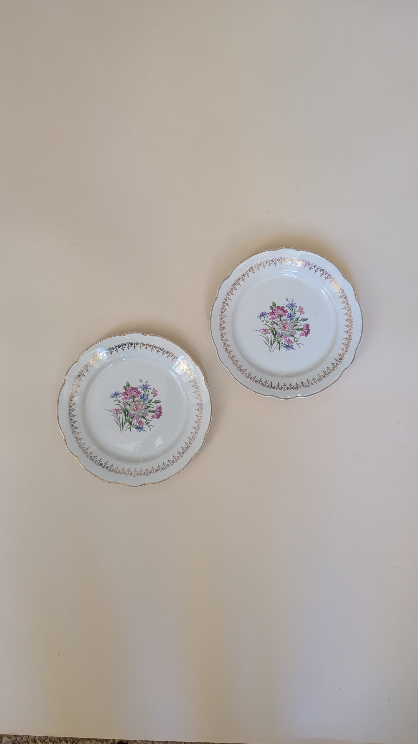 Ensemble de 14 assiettes dépareillées