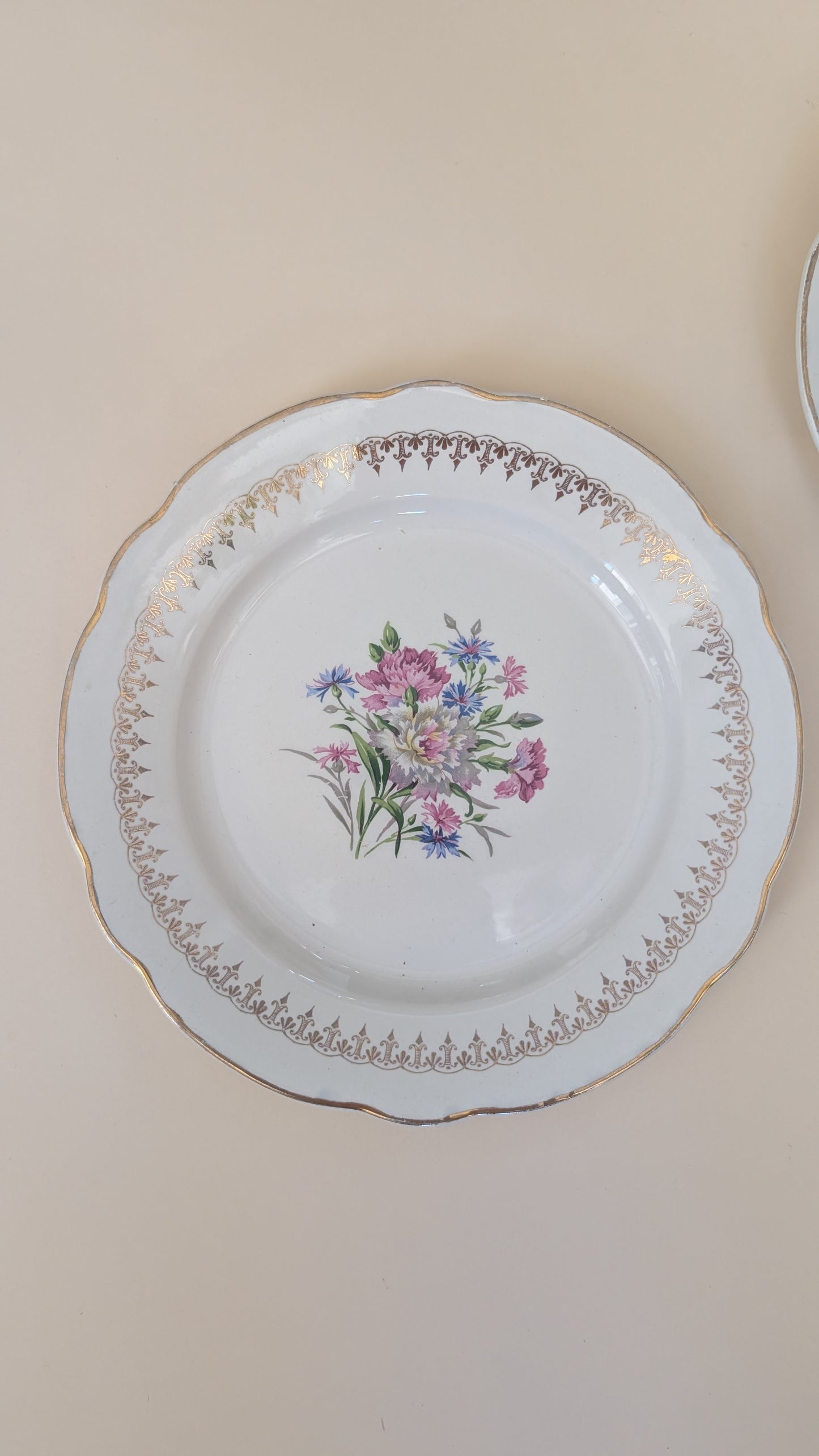 Ensemble de 14 assiettes dépareillées