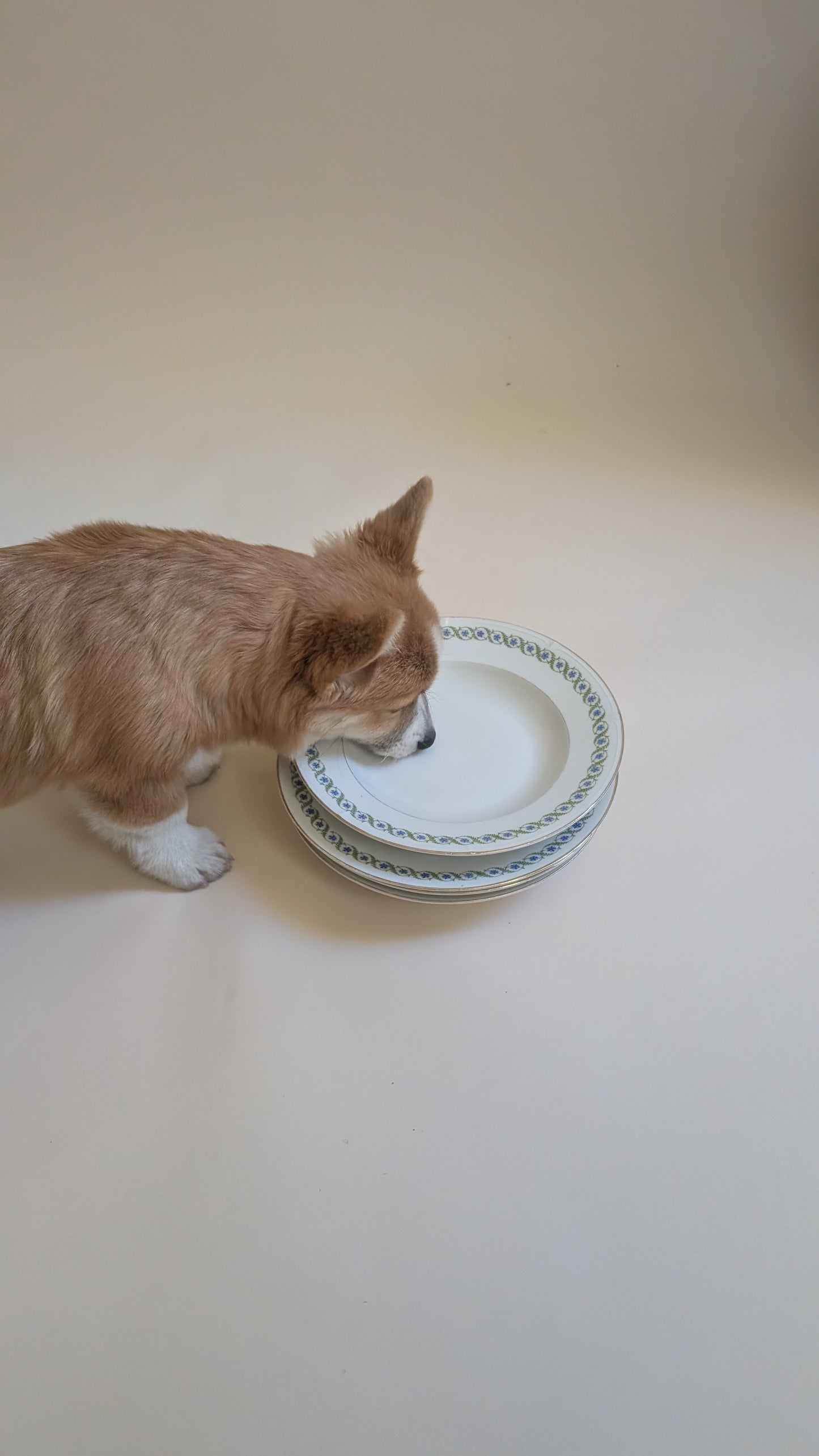 Ensemble de 14 assiettes dépareillées