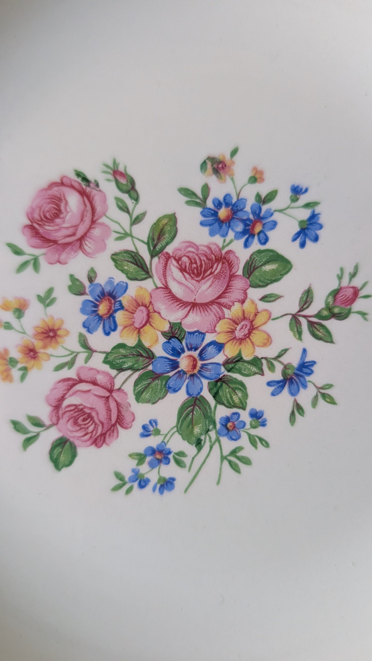 12 ASSIETTES CREUSES