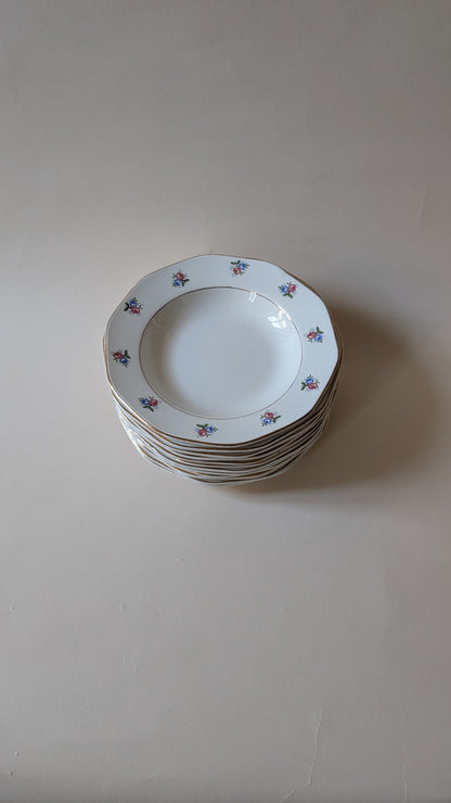 13 ASSIETTES CREUSES