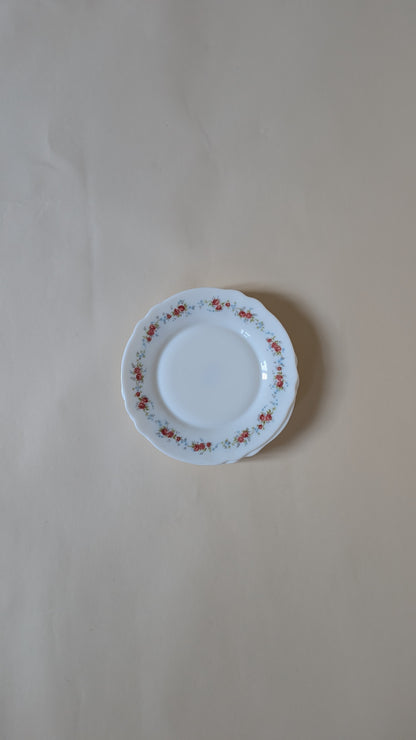 6 ASSIETTES À DESSERT