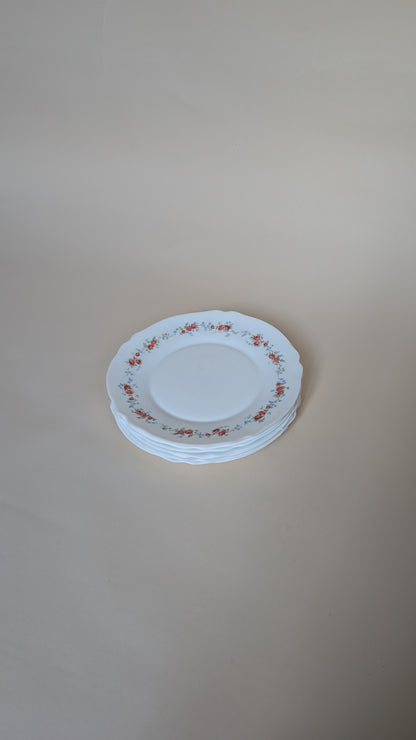 8 ASSIETTES PLATES