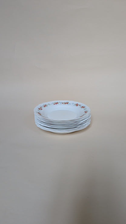 10 ASSIETTES CREUSES