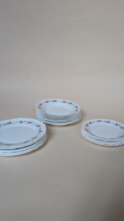 10 ASSIETTES CREUSES