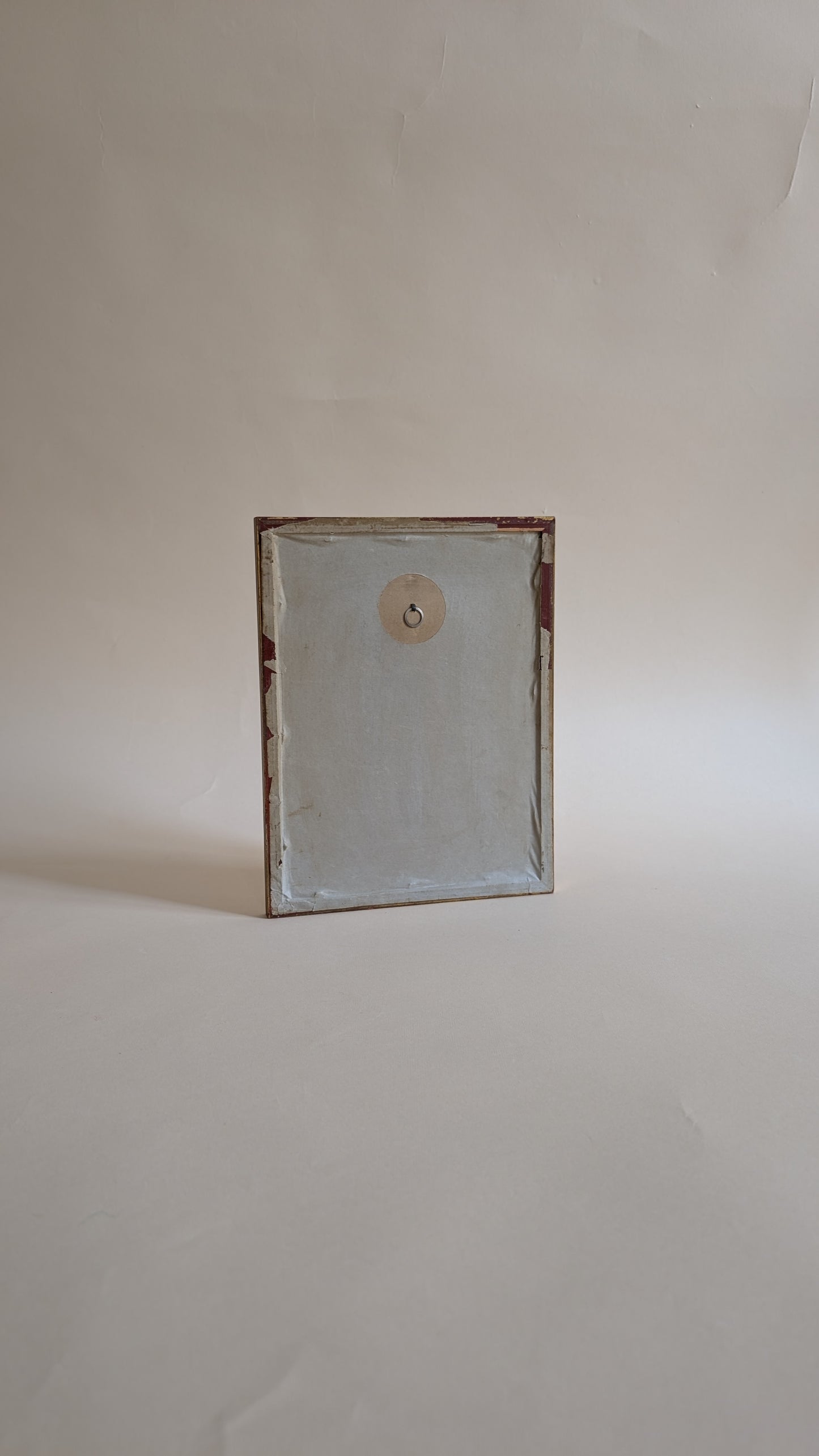 Herbier vintage sous verre