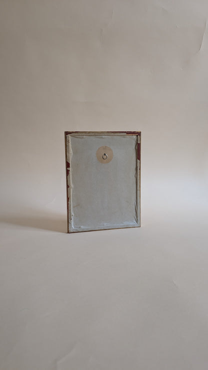 Herbier vintage sous verre